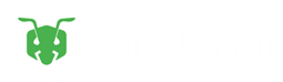 ANT GREEN - Cây Cảnh Phong Thủy